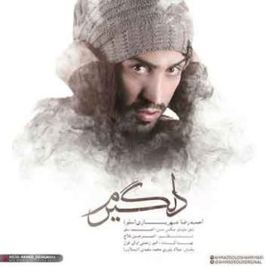 دانلود آهنگ جدید احمد سلو به نام دلگیرم