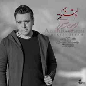 دانلود آهنگ جدید امین رستمی به نام دلتنگتم