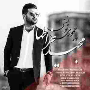 دانلود آهنگ جدید مجید خراطها به نام چجوری تونستی