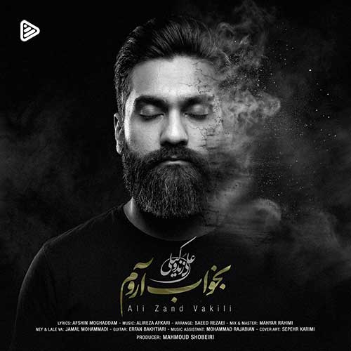 دانلود آهنگ علی زند وکیلی به نام بخواب آروم