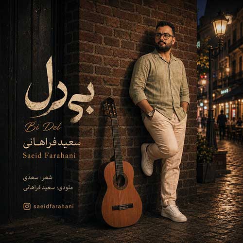 دانلود آهنگ جدید سعید فراهانی – بی دل